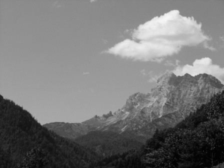 The rock